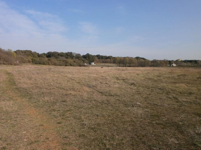 PULA - Grande terreno per la costruzione di una casa famigliare o la villa. 4