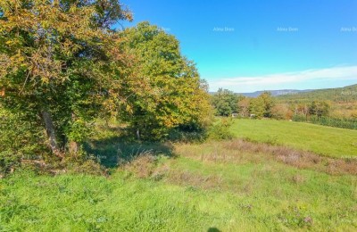 Sale - construction land for building a family house, Karojba!