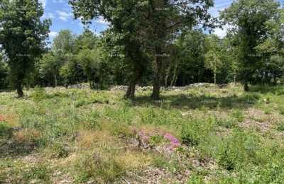 Продается привлекательный участок под застройку, Свети Ловреч