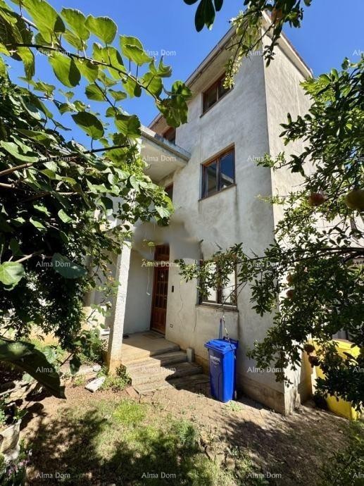 Дом 246 м² с приусадебным участком – Помер 1