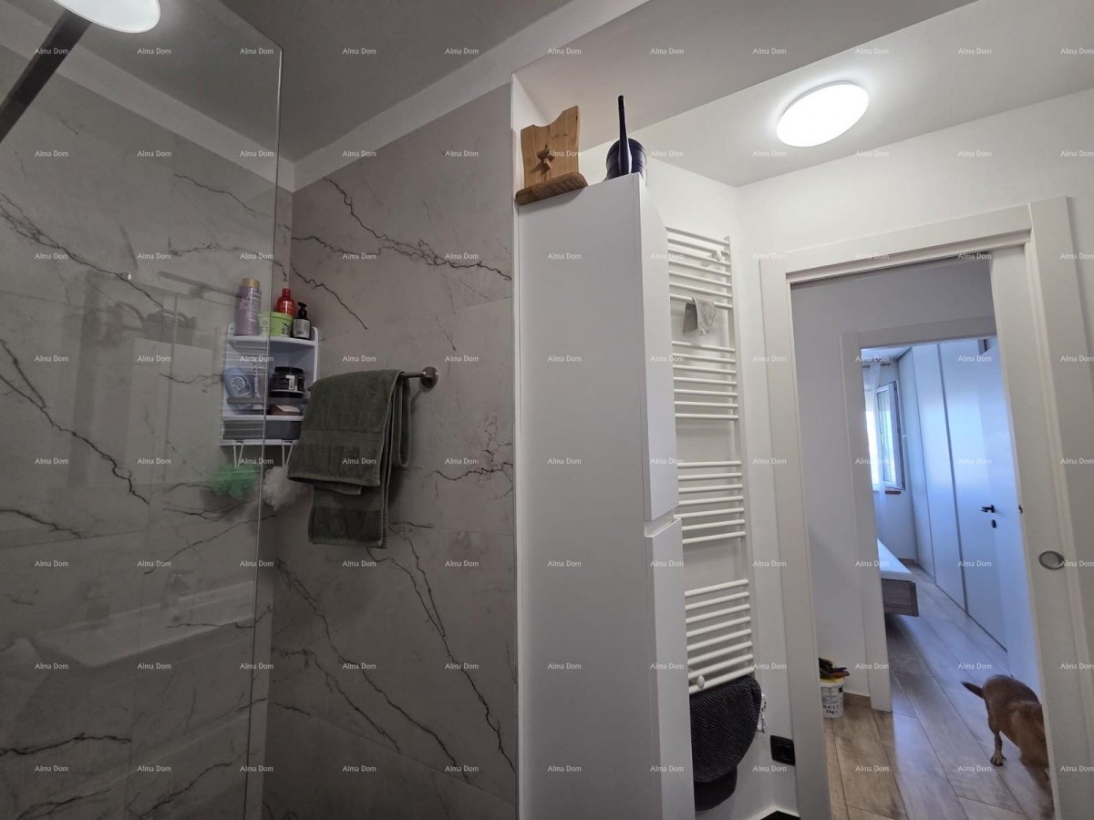 PULA, VIDIKOVAC, RENOVIRAN STAN 52 m² 18
