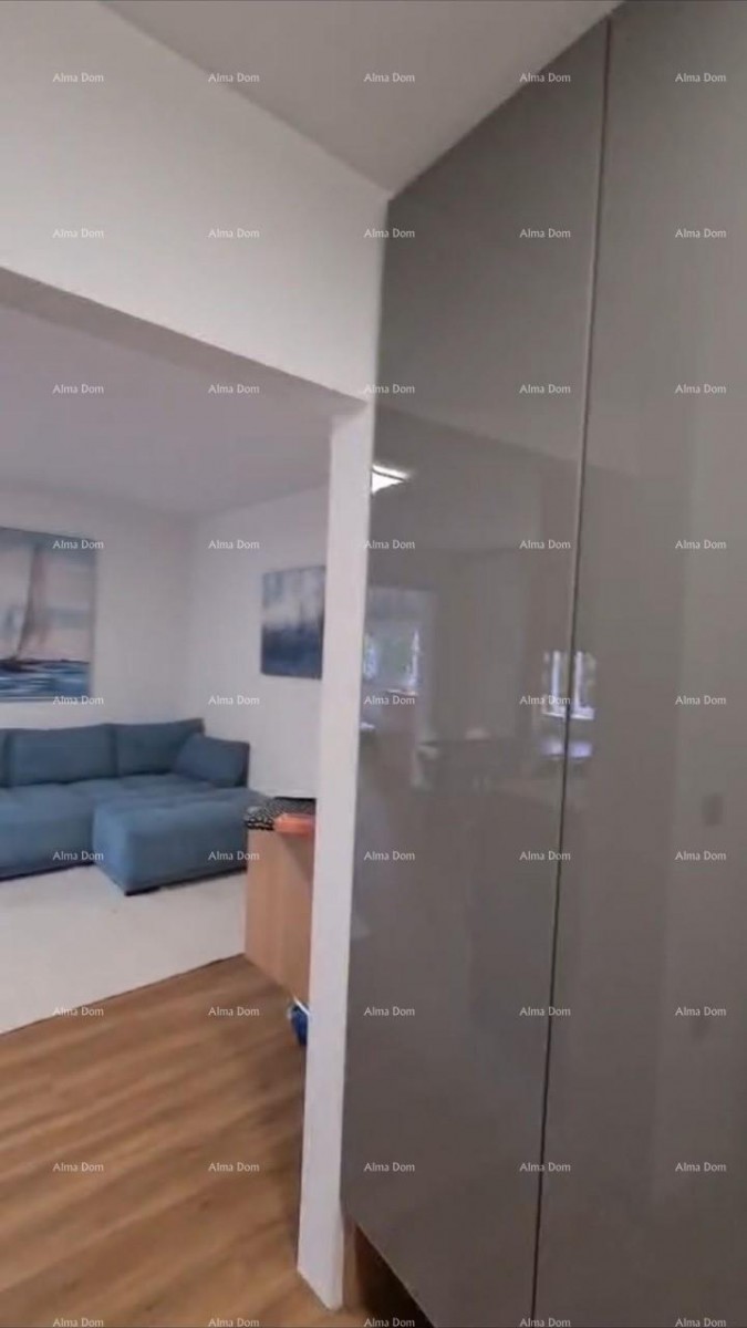 Apartment Novigrad 10