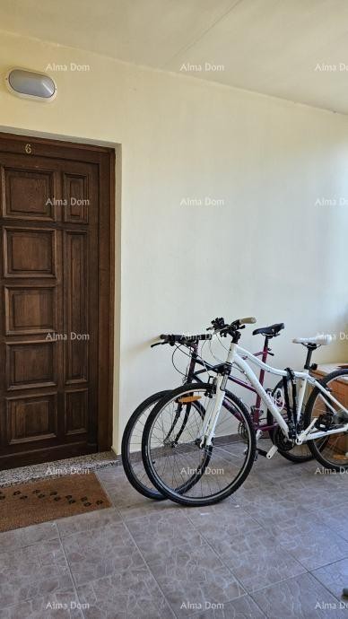 Квартира Novigrad 14