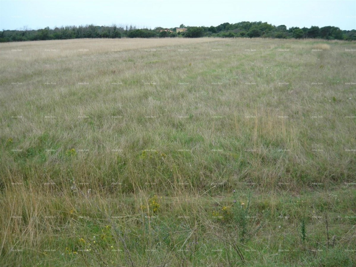 Jadreški, Agricultural Land for Sale, Area of 21,870 m² 2