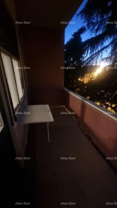 Stan u centru Umaga. Čisto vlasništvo. 15