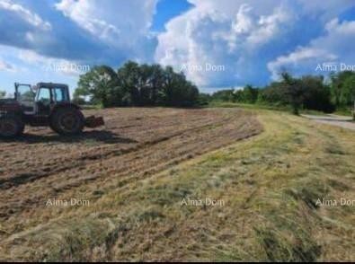 The translation of the title to Slovenian (slv) is: 1