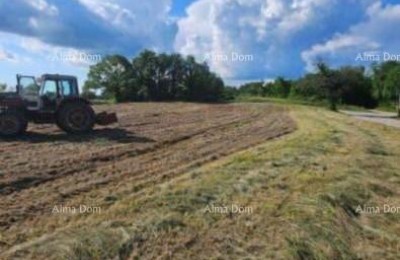 Продаются три строительные участка и один сельскохозяйственный участок.