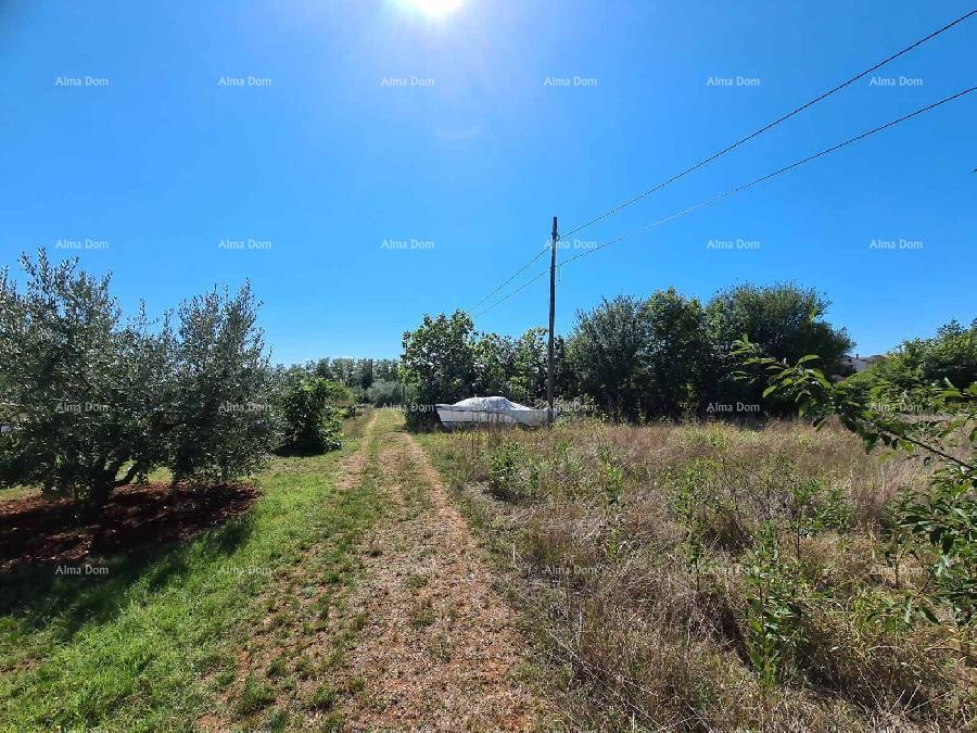 ПУЛА - Земля под застройку в Бусолере 7