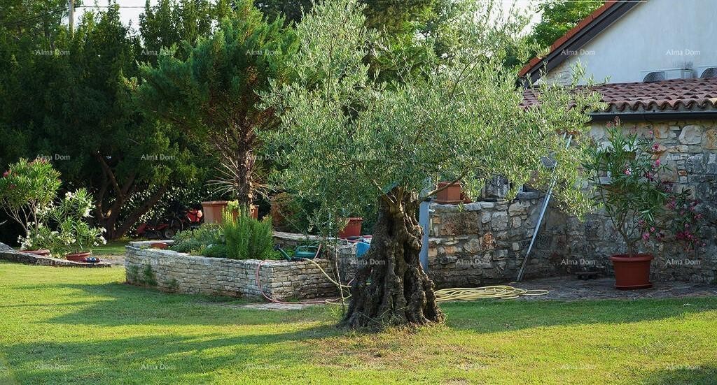 UMAG, Kuća, 144 m², s velikim vrtom i ljetnom kuhinjom, potpuno renovirana! 17