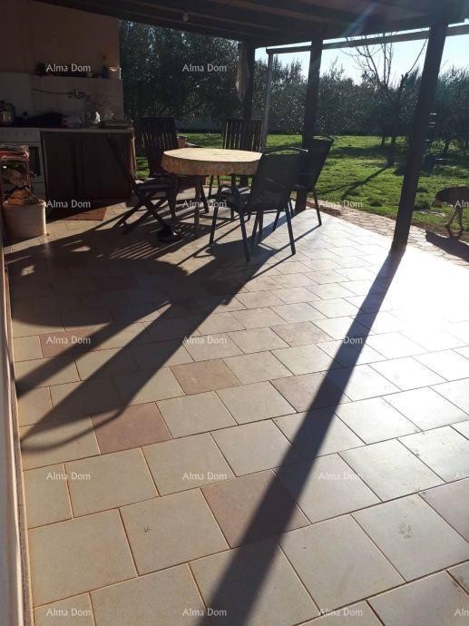 Marčana – House with an Olive Grove 7