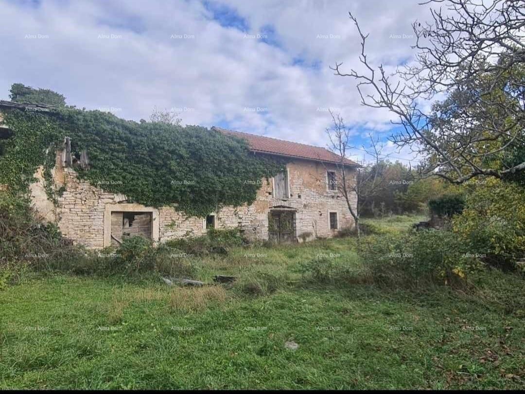 Продается Истрийский каменный дом, Опрталь 7