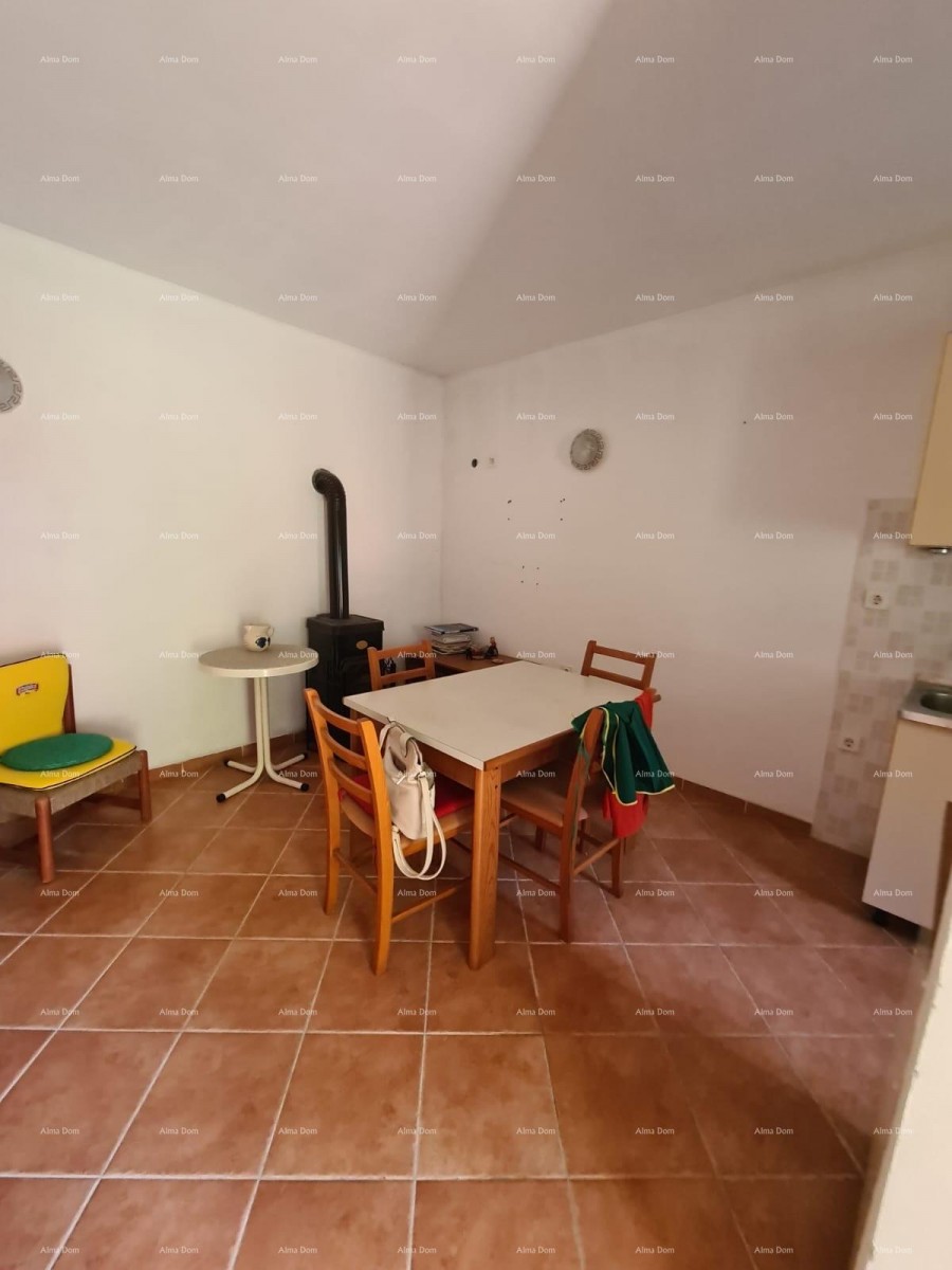 A house with a yard and a large plot of land for sale, Barban 10