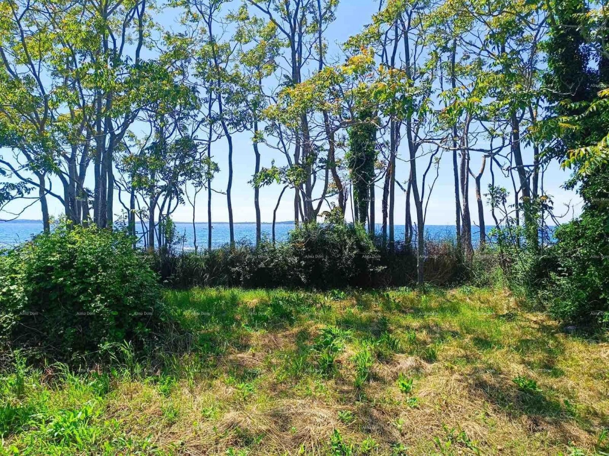 ПЕРОЙ – СЕЛЬСКОХОЗЯЙСТВЕННАЯ ЗЕМЛЯ 2.715 м² У БЕРЕГА МОРЯ 10