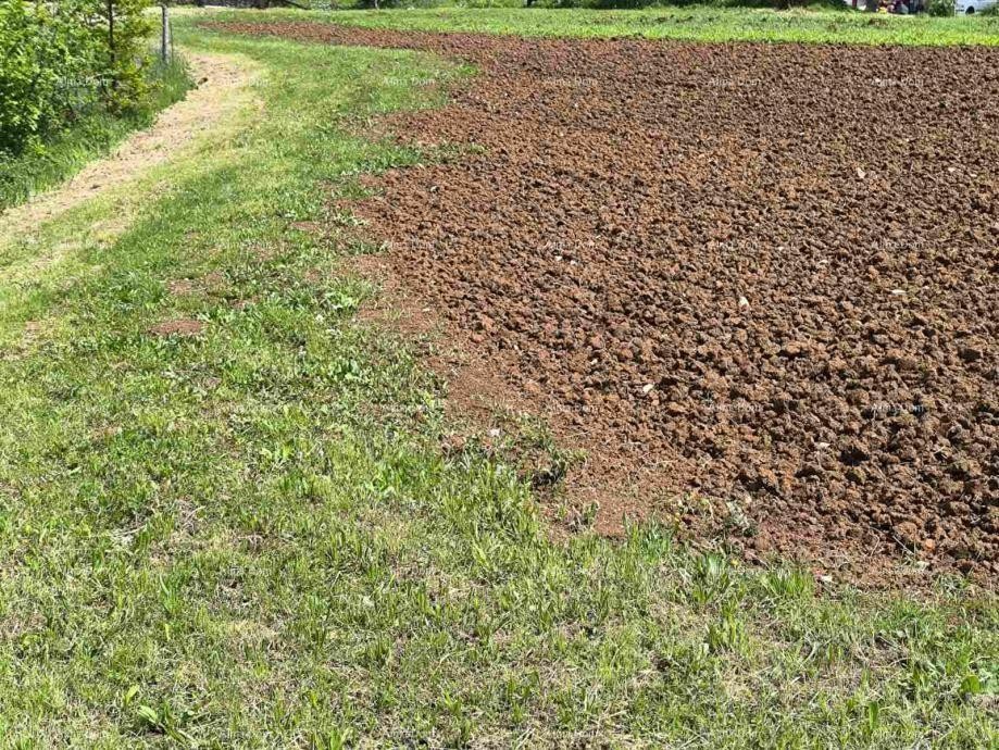 Plot Pazin 2