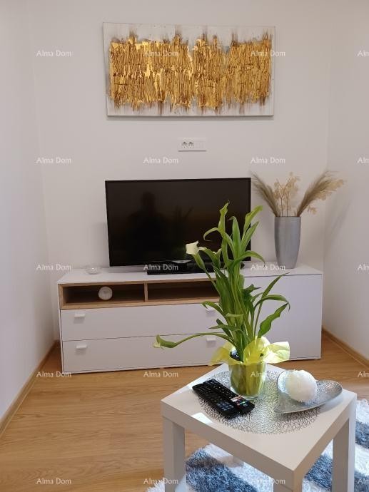 Pula, 2-sobni apartma v centru, 31 m² + terasa in vrt 4