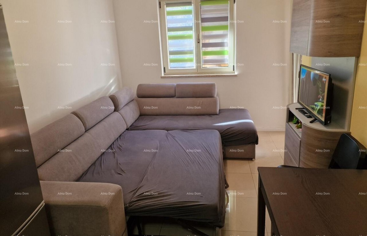 Appartamento Novigrad 15