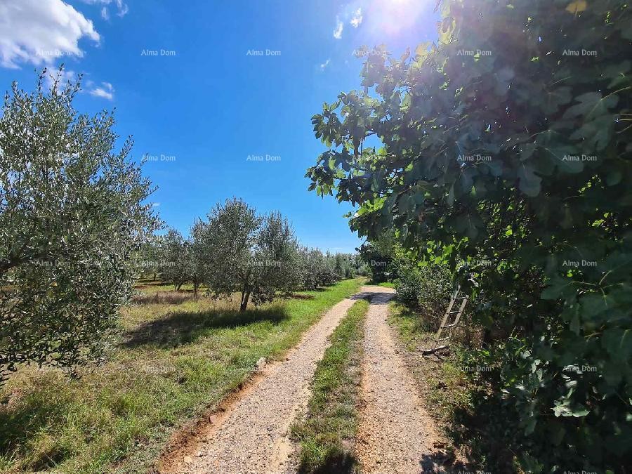 ПУЛА - Земля под застройку в Бусолере 2