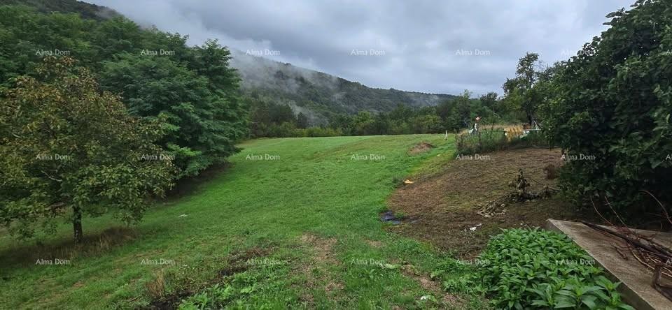 Veliko imanje s kućom i građevinskim zemljištem, okolica Buzeta 2
