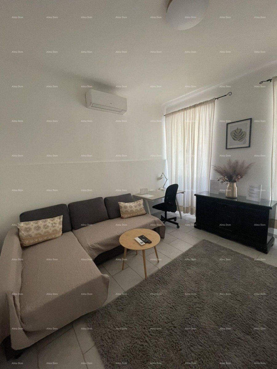 Furnished apartment 45 m2 on the ground floor in the center of Pula 2