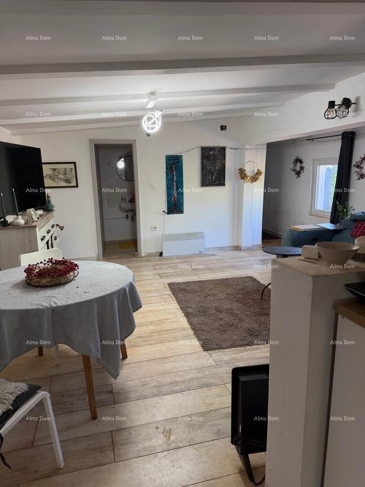 Vodnjan, Prizemnica con giardino 2