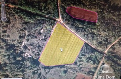 More agricultural plots for sale in Visnjan!