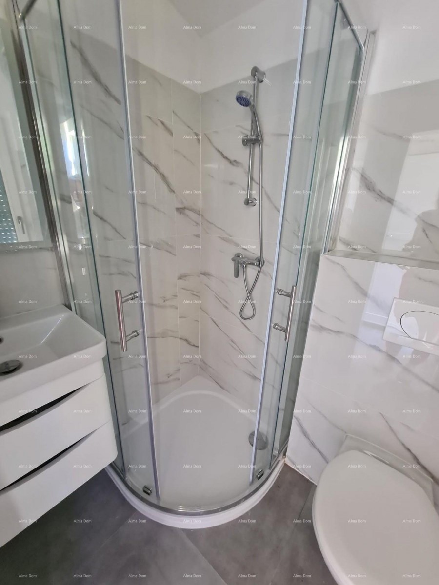 Renovirana kamena kuća s bazenom – mirno selo blizu Svetvinčenta 41