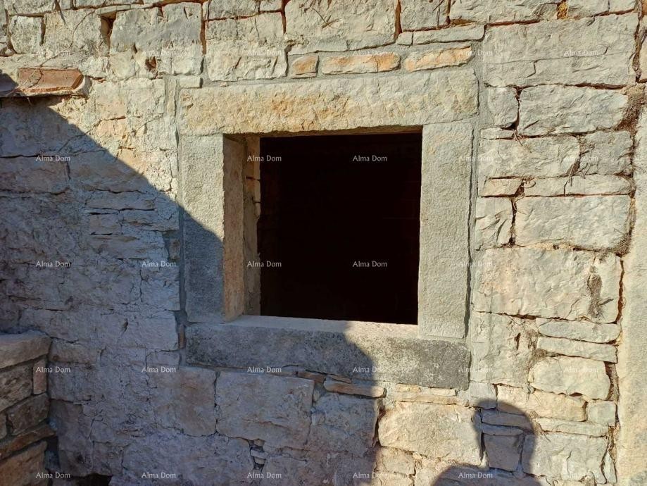 Самостоятельный дом в строительстве – Тиньян 2