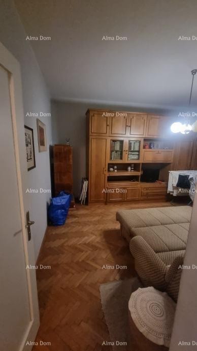 Stan u centru Umaga. Čisto vlasništvo. 9