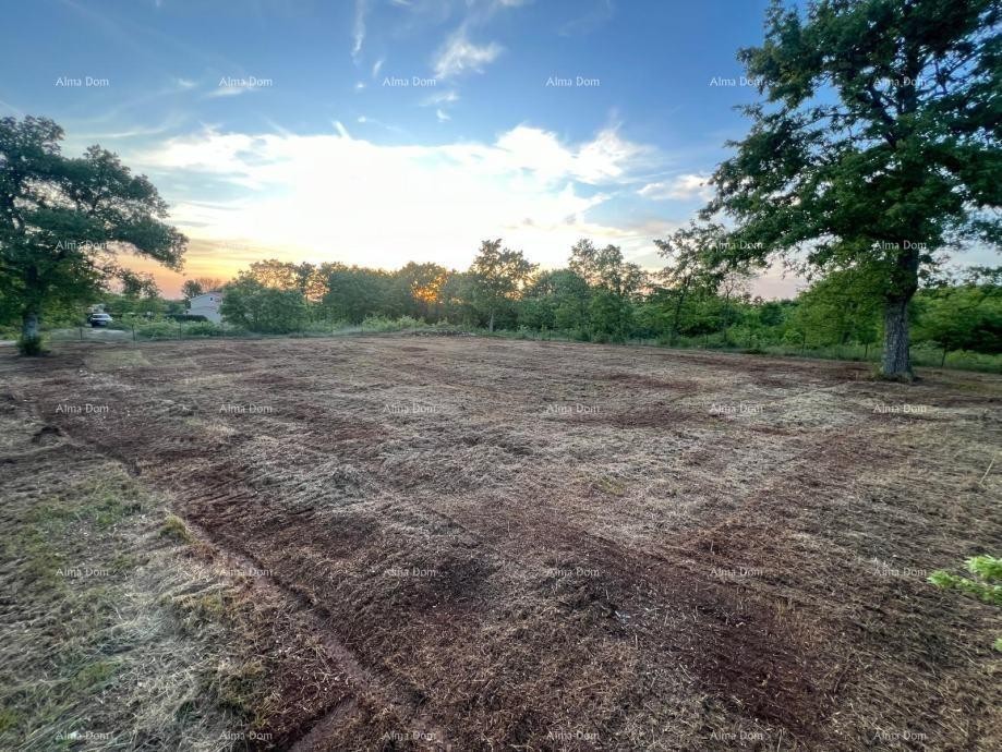 Эемля Svetvinčenat 6