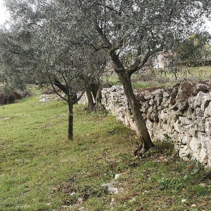 Terreno Fažana 4