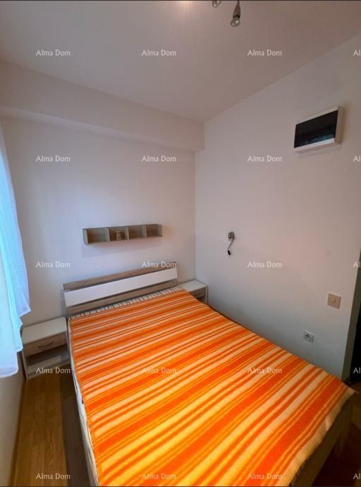 For Sale: Apartment in Novigrad with a Large Garden. 5