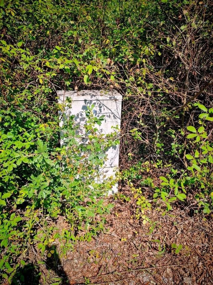 Istria, Kršan, vendiamo due terreni edificabili con permessi. 1