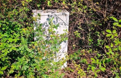 Istria, Kršan, vendiamo due terreni edificabili con permessi.