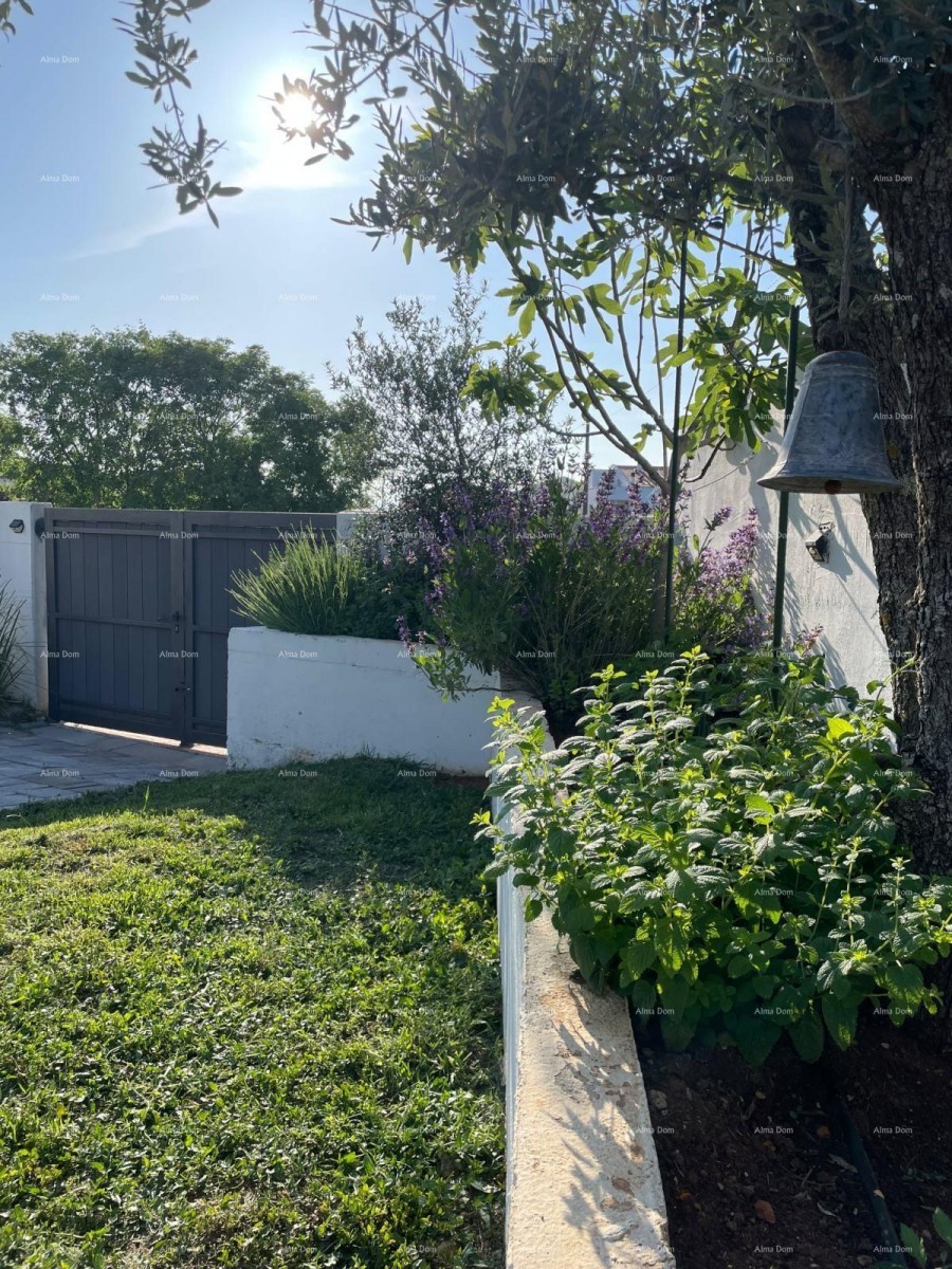 Moderna vila v Istri s pogledom na morje, strešno teraso in urejenim vrtom – 800 m od plaže 6