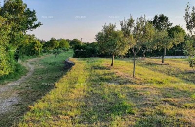 Građevinsko zemljište u Filipani!