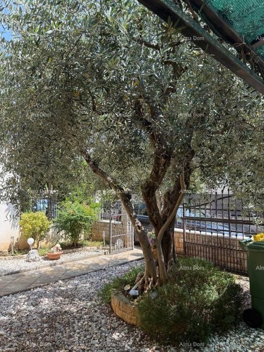 Na prodajo dvojna hiša v Poreču, 2 km od morja 17