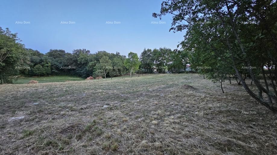 Строительная земля в Тиньяне (Истрия), 3.623 м² 7