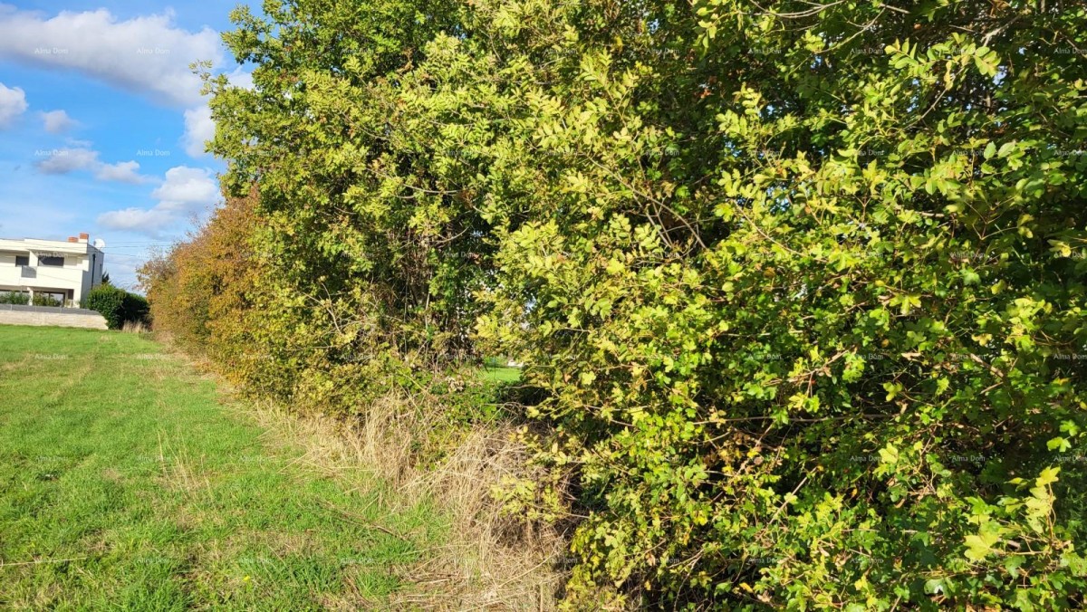 EXCLUSIVE! Construction Land, Radeki Polje 6