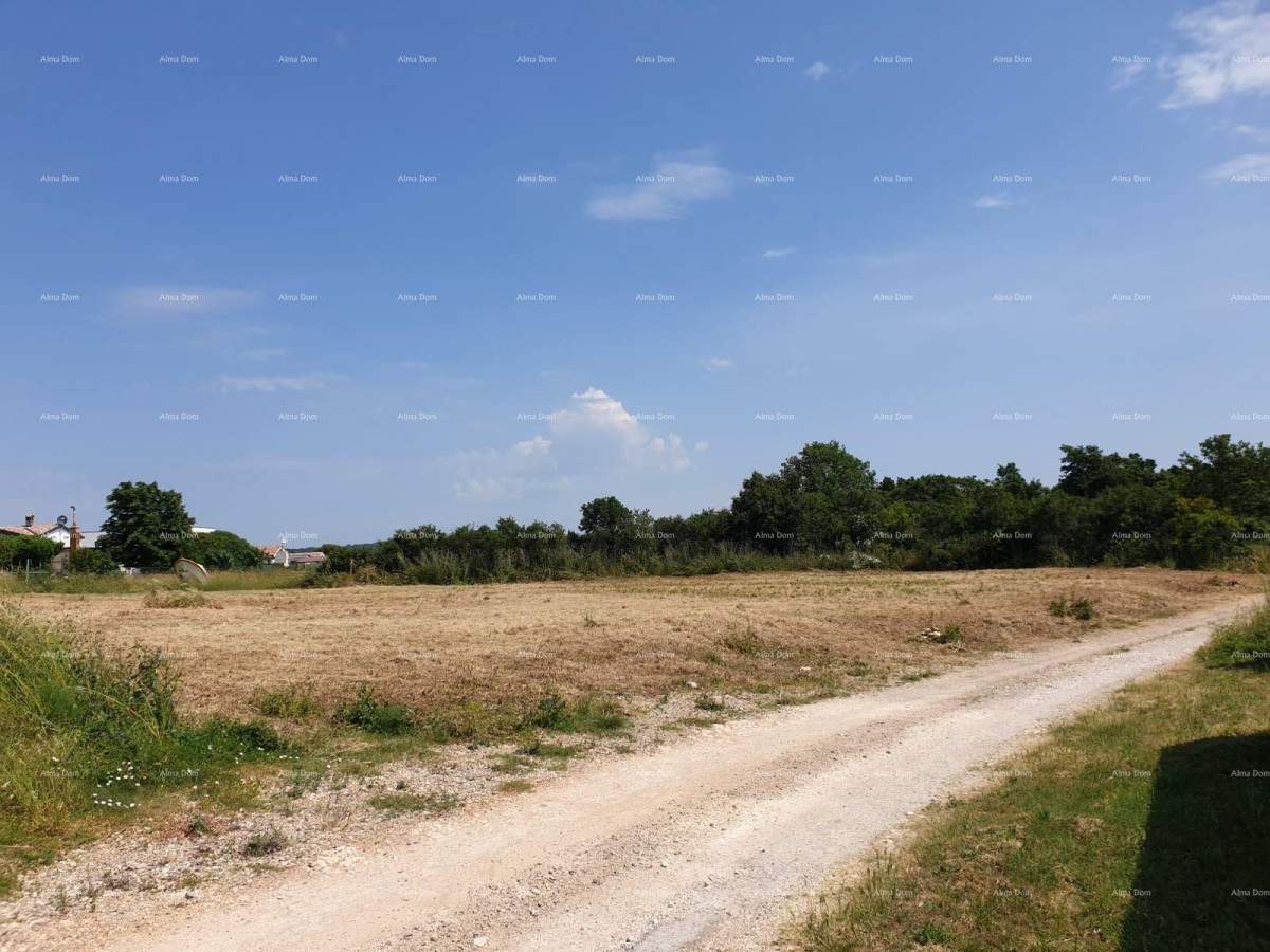Prostrana gradbena parcela velikosti 1700 m² v Šišanu - idealna priložnost za vaš dom ali naložbo 1