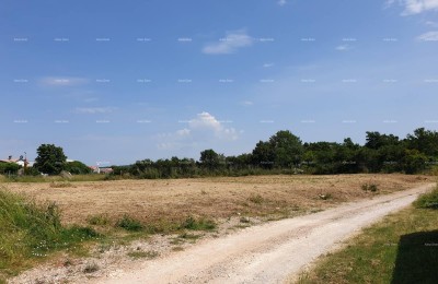 Prostrana gradbena parcela velikosti 1700 m² v Šišanu - idealna priložnost za vaš dom ali naložbo