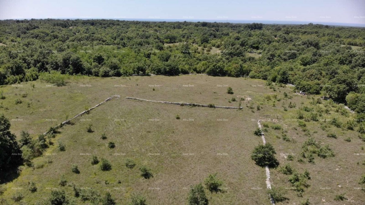 Эемля Svetvinčenat 3