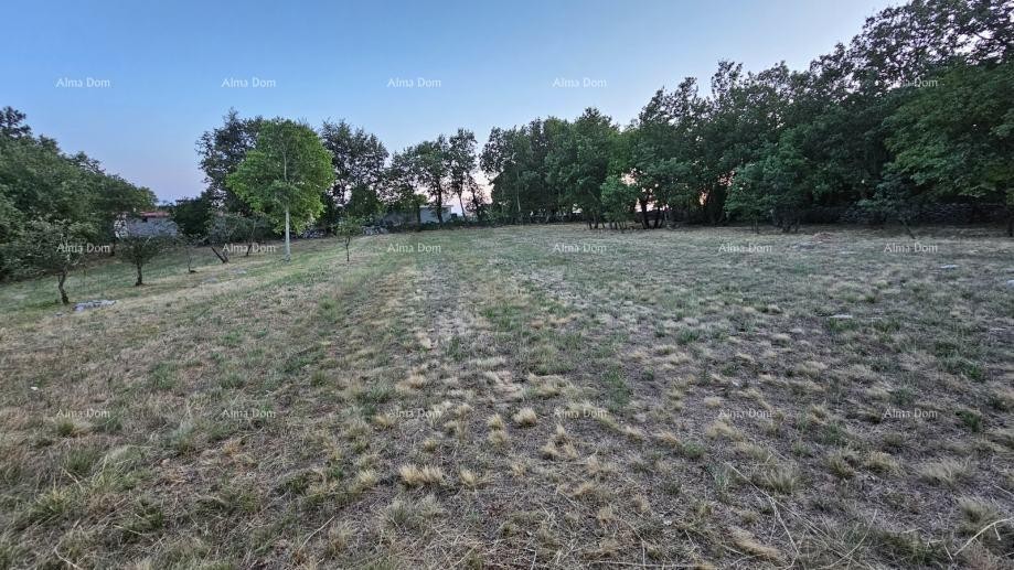 Строительная земля в Тиньяне (Истрия), 3.623 м² 10