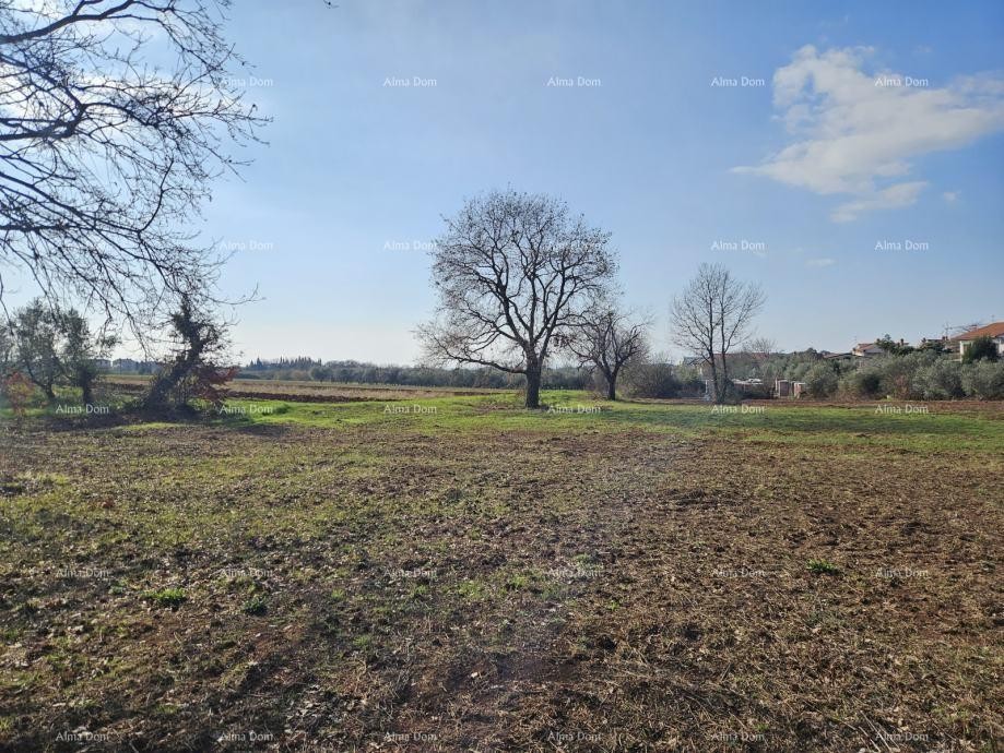 Reserved!!! Sale of construction land with a sea view, Novigrad! 1