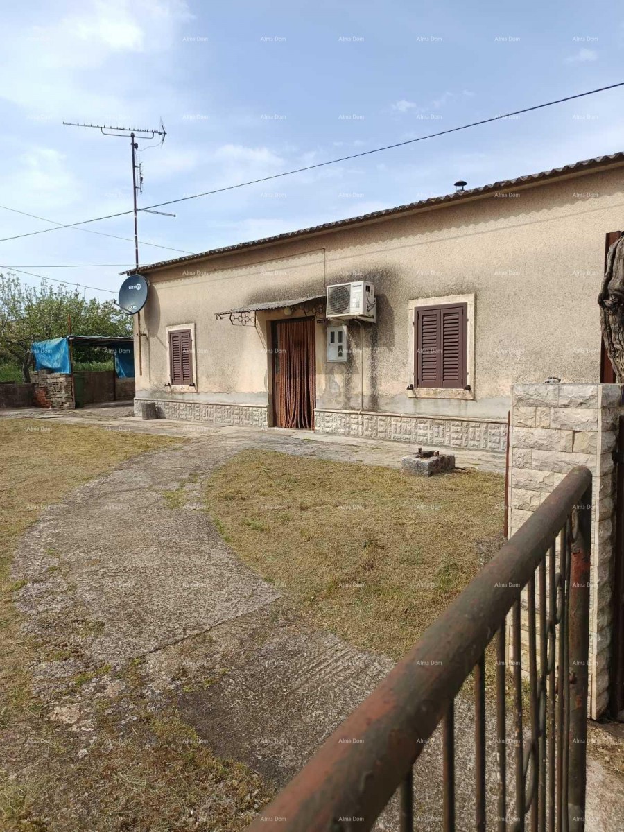 MARČANA – Ground floor apartment with a garden in a peaceful setting 1
