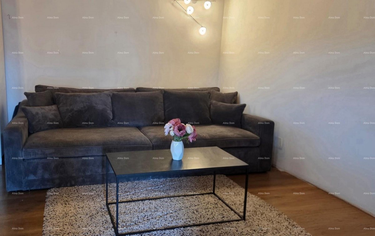 KRNICA, Istriana casa in pietra di 170 m² con 2 appartamenti, appartamento e grande cortile 2