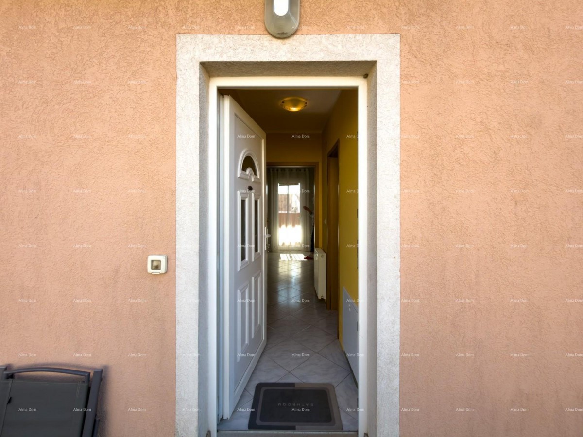 The translation of the title 