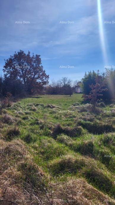 Attractive building plot near Poreč 3
