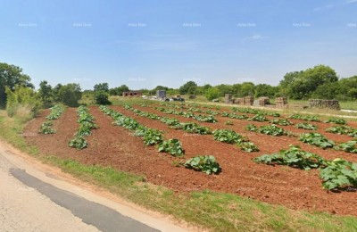 Prodaja - građevinsko zemljište, Loborika!