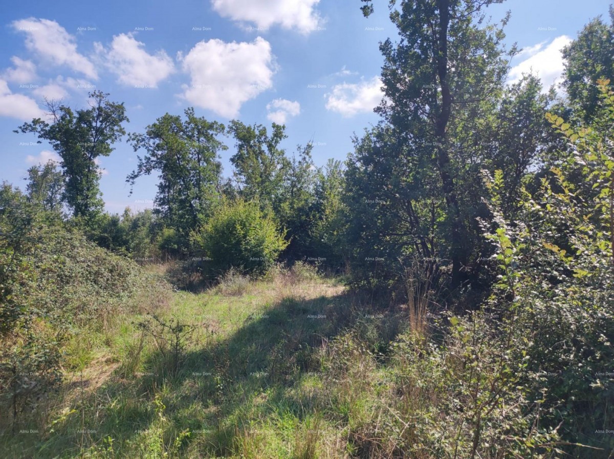 Sale - AGRICULTURAL land, Pula, Valtura! 5