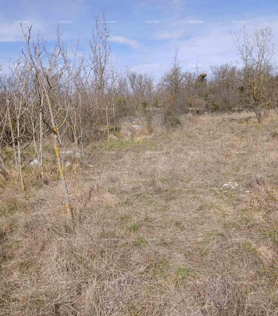 SALE OF CONSTRUCTION LAND, 6,230 m² – PLOVANIJA (BUJE) 1